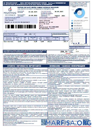 Blank Moldova Moldovagaz utility bill template in Word and PDF formats